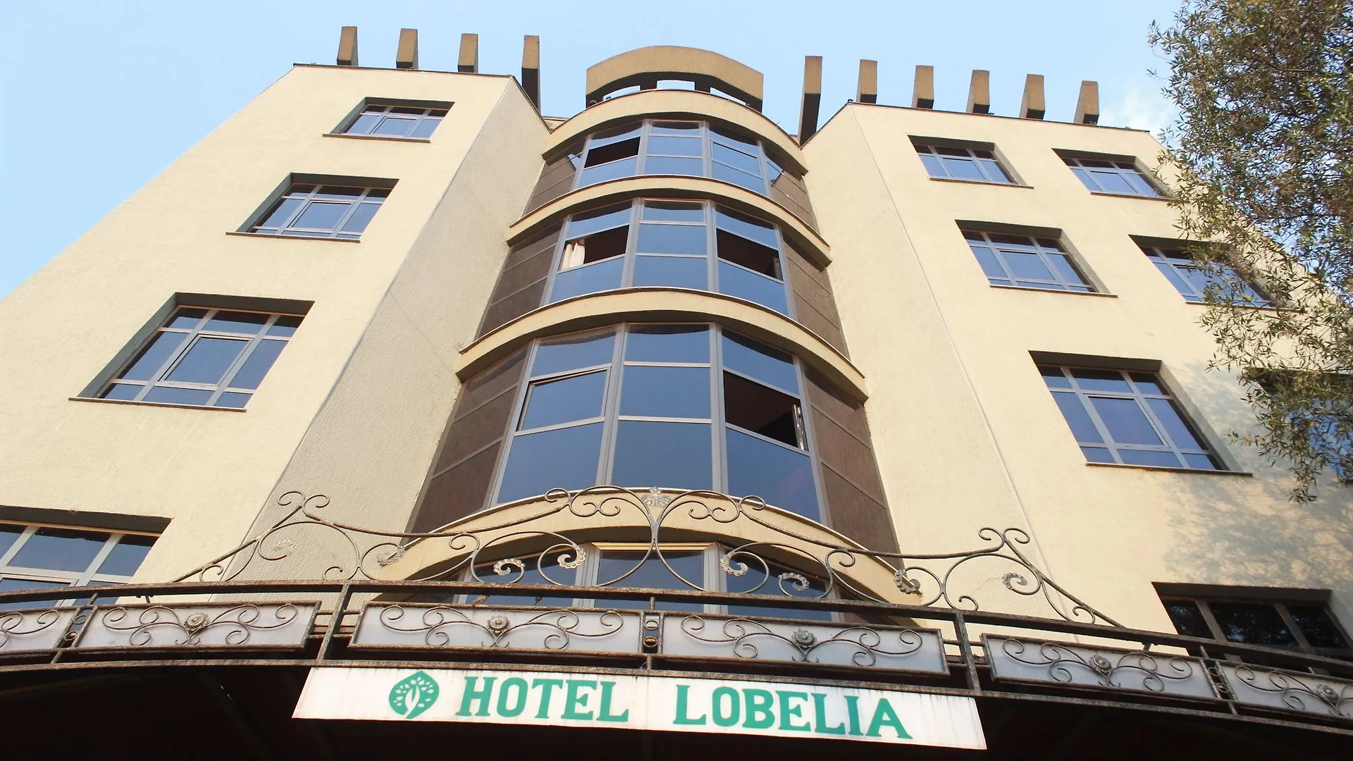 Hotel Lobelia 아디스아바바