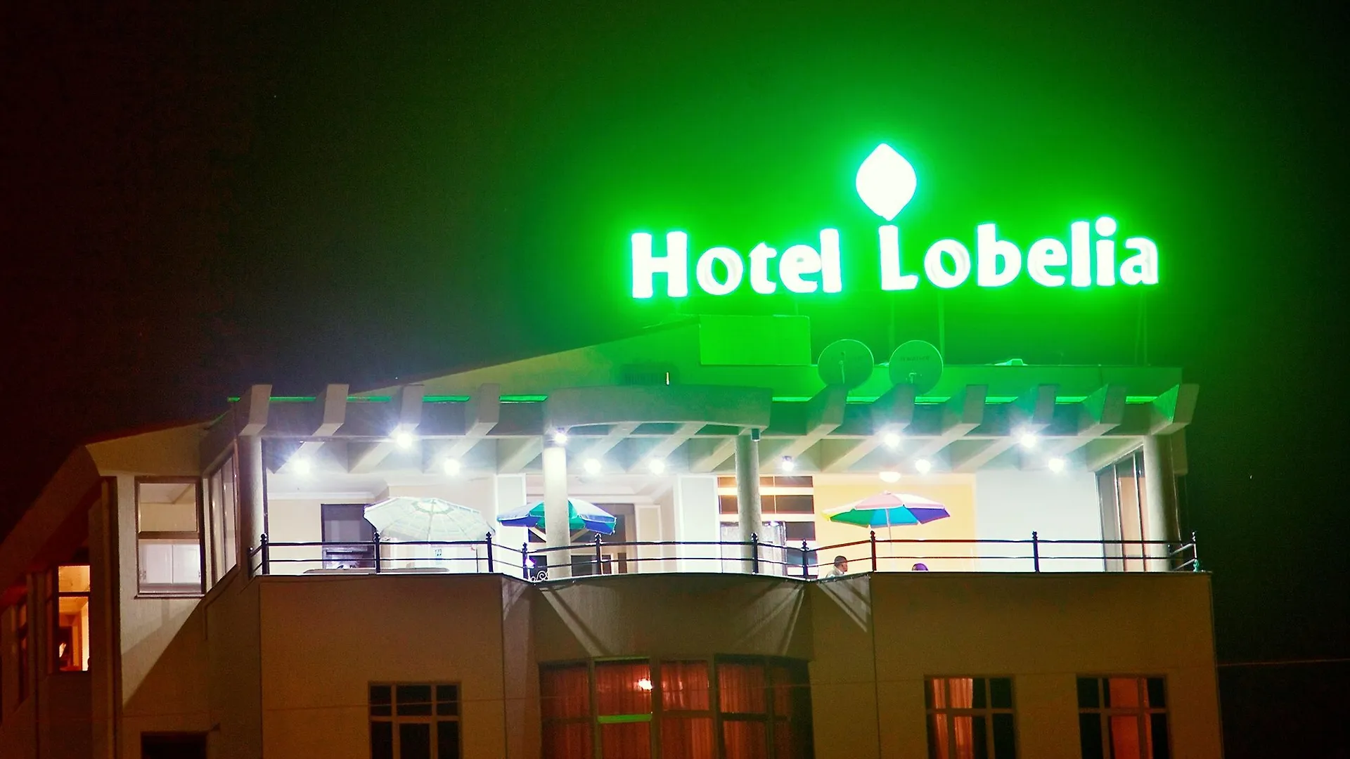 Hotel Lobelia Adís Abeba